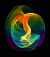 waiting symbol